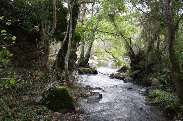 20160401_pr4_012_foz_da_ribeira_de_margem