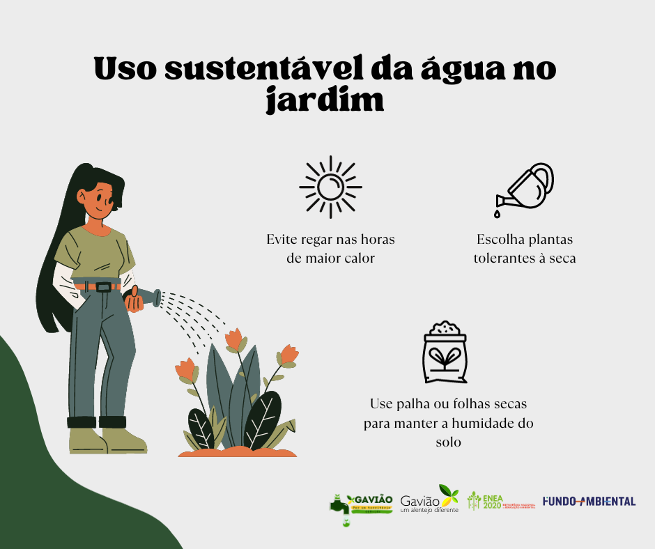 ???? Jardim sustentável: Uso consciente da Água ????