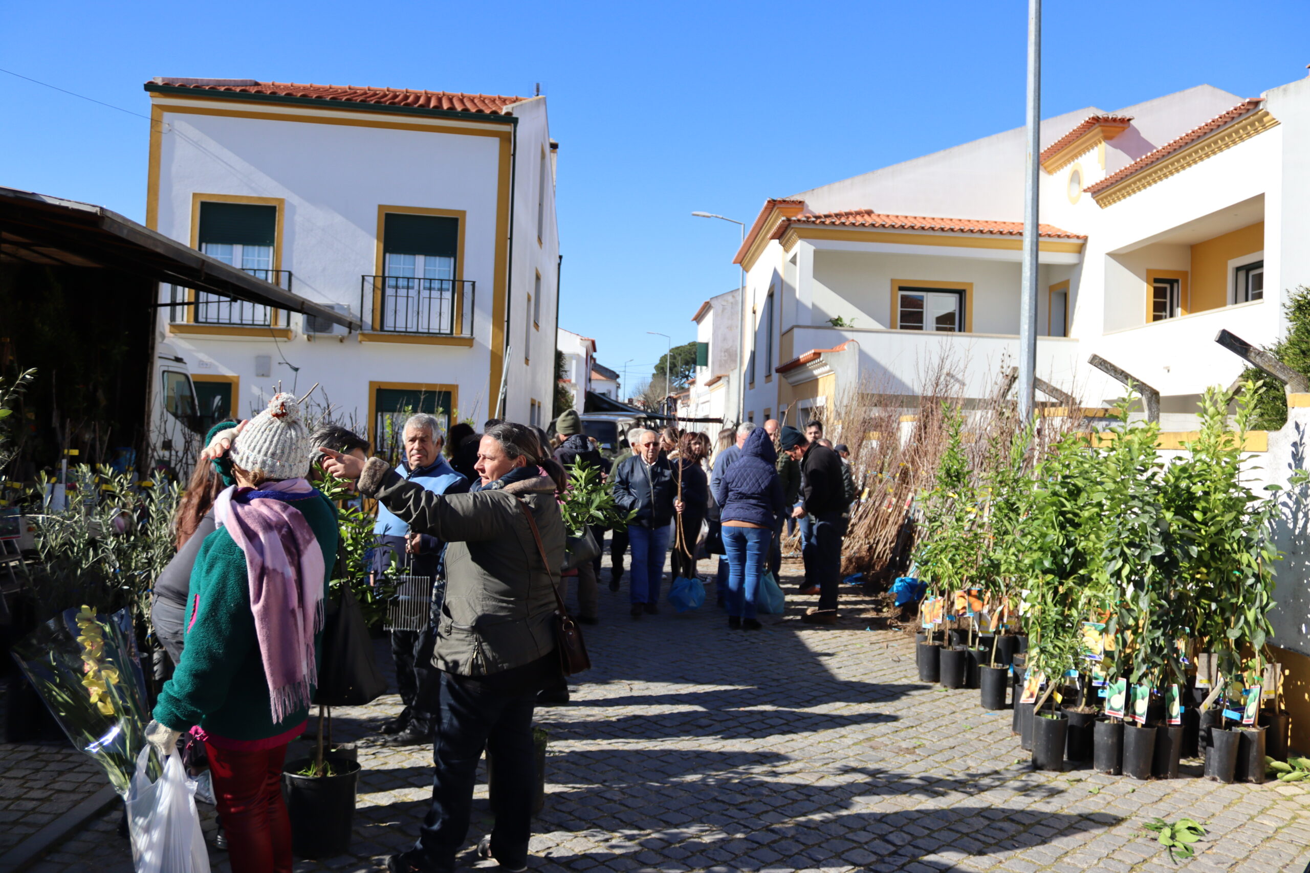 Feira das Candeias