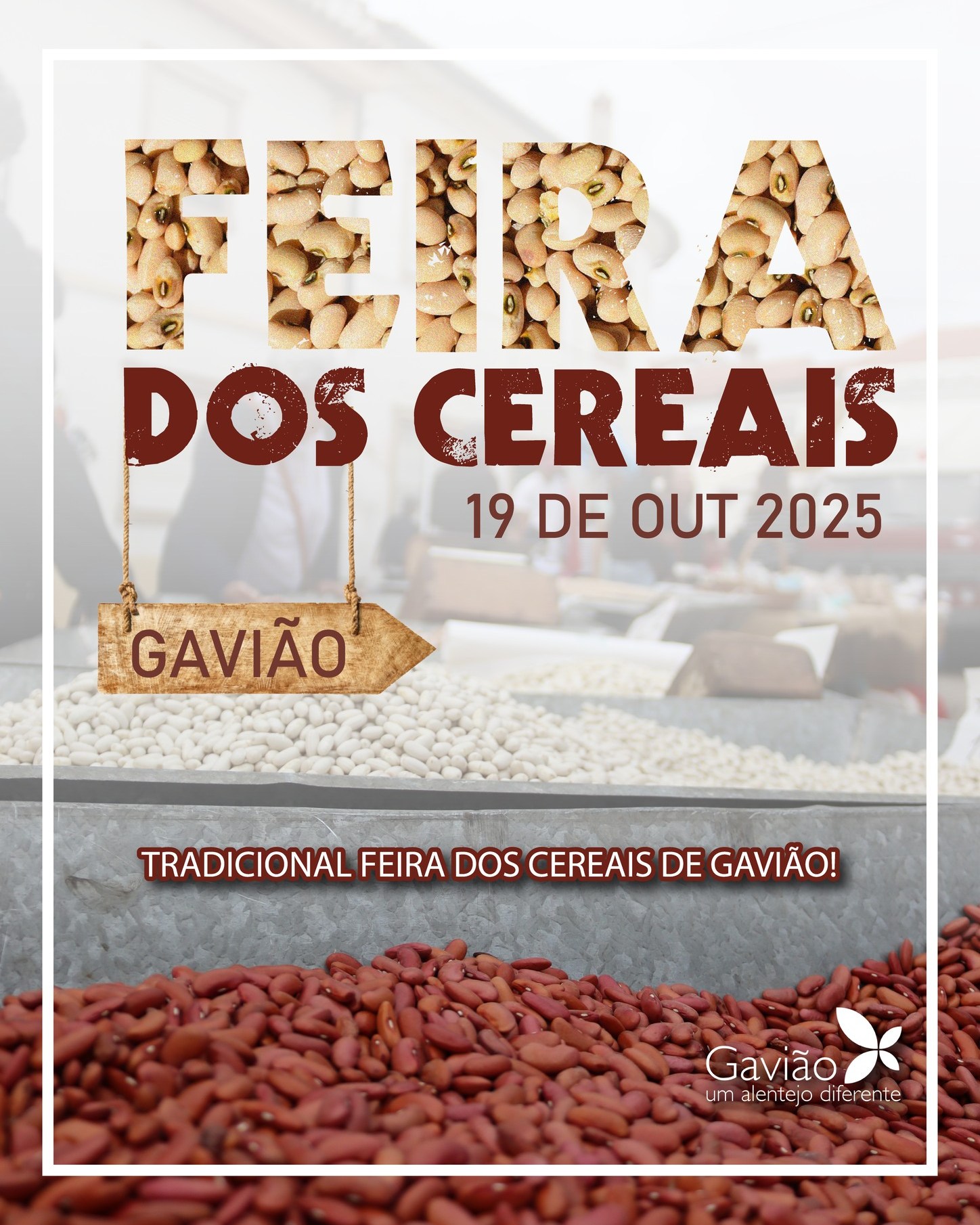 20251019_feira_dos_cereais_gaviao