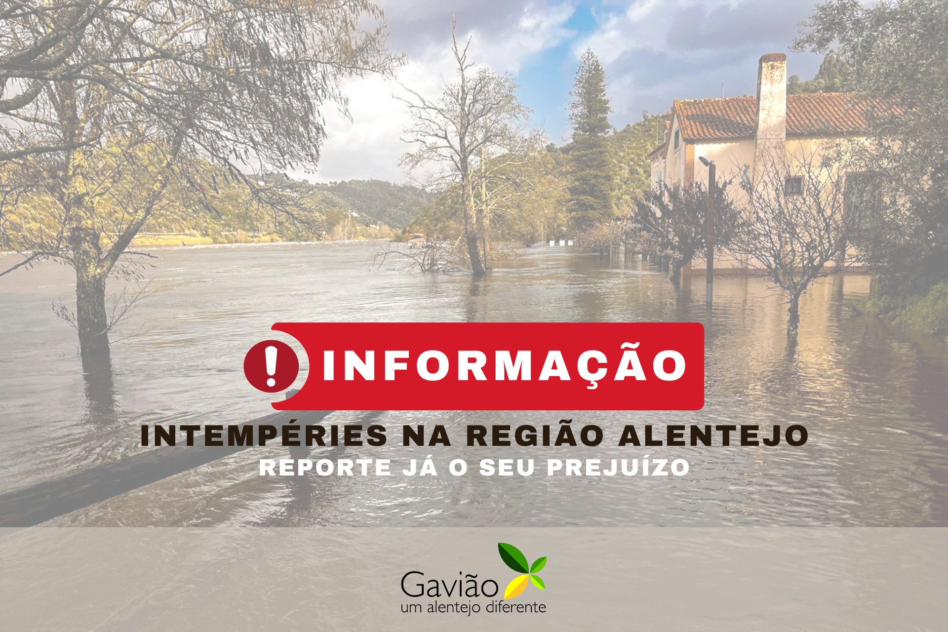 20260210_formulario_de_registo_identificacao_e_quantificacao_de_danos_banner